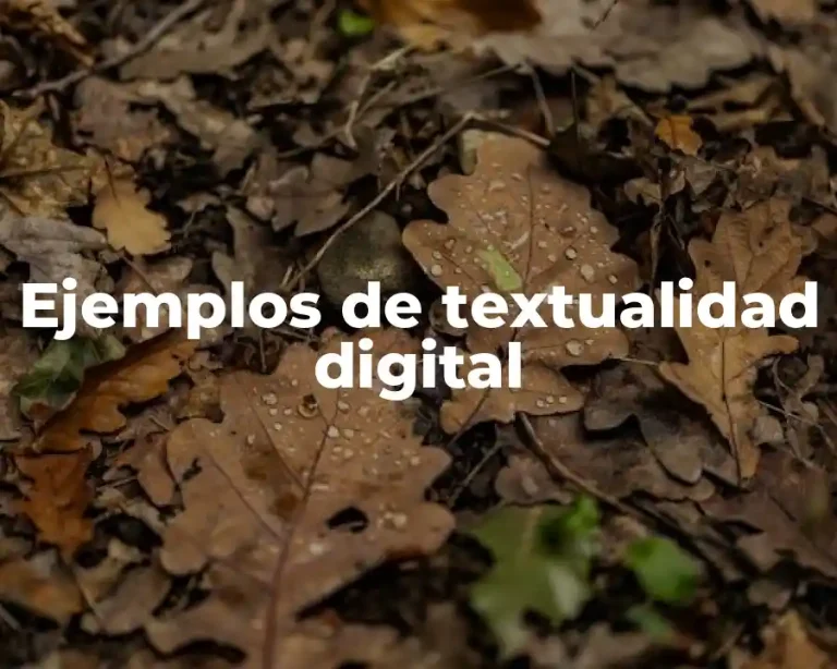 Ejemplos de textualidad digital