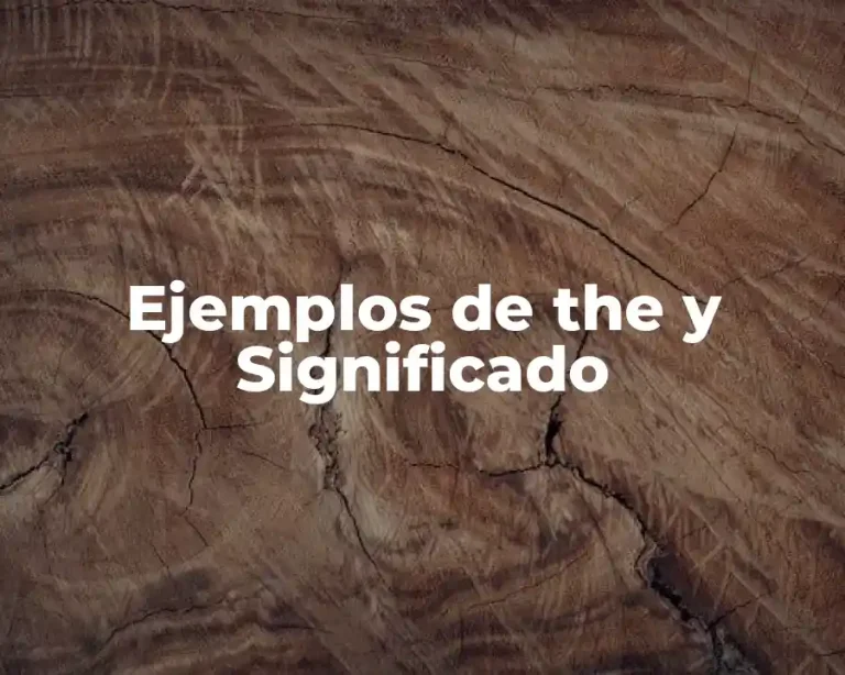 Ejemplos de the y Significado