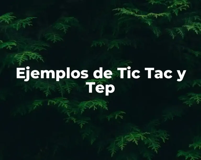 Ejemplos de Tic Tac y Tep