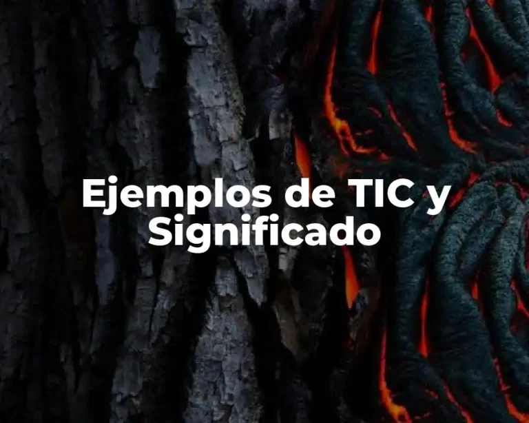 Ejemplos de TIC y Significado