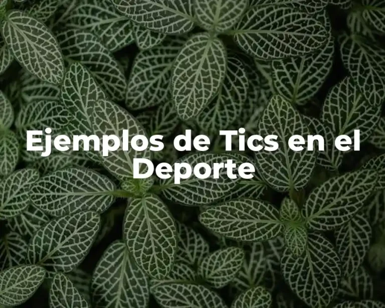 Ejemplos de Tics en el Deporte