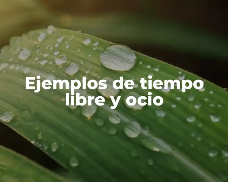 Ejemplos de tiempo libre y ocio