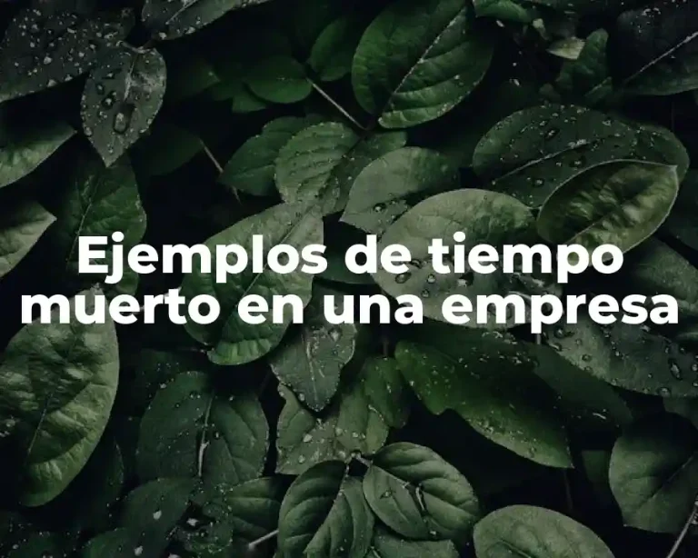 Ejemplos de tiempo muerto en una empresa