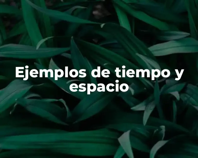 Ejemplos de tiempo y espacio