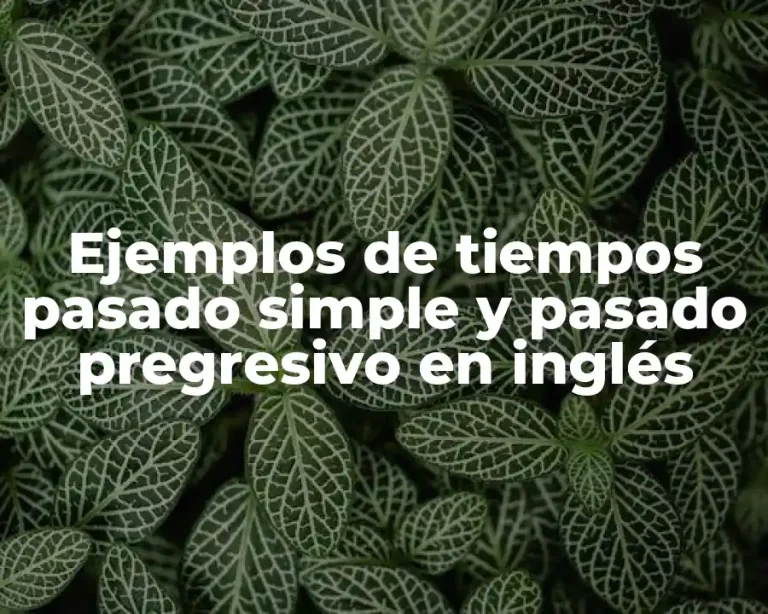 Ejemplos de tiempos pasado simple y pasado pregresivo en inglés