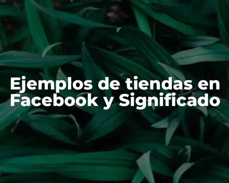 Ejemplos de tiendas en Facebook y Significado