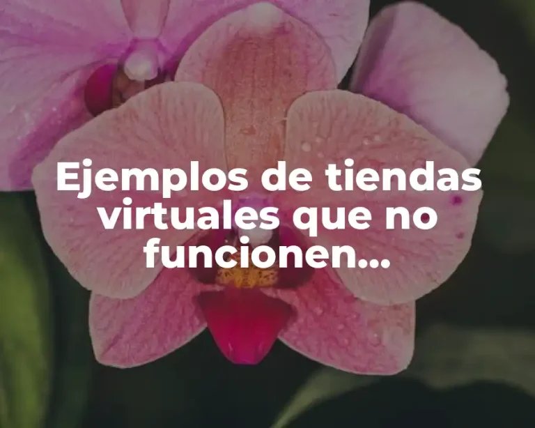 Ejemplos de tiendas virtuales que no funcionen directamnete en internet