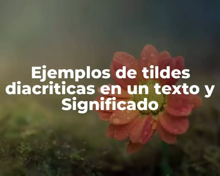 Ejemplos de tildes diacriticas en un texto y Significado