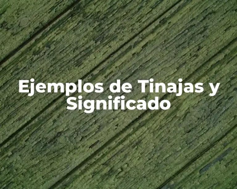 Ejemplos de Tinajas y Significado