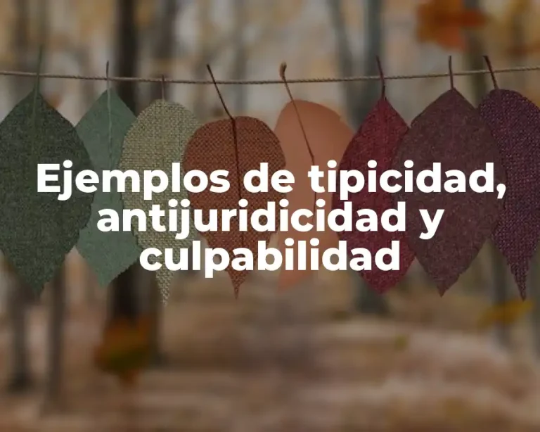 Ejemplos de tipicidad, antijuridicidad y culpabilidad