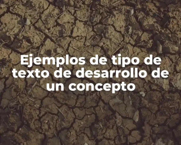 Ejemplos de tipo de texto de desarrollo de un concepto