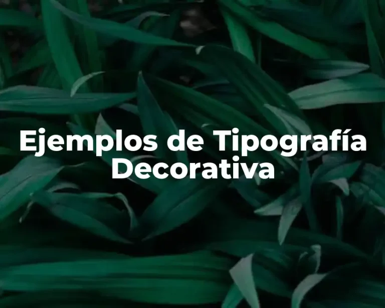 Ejemplos de Tipografía Decorativa