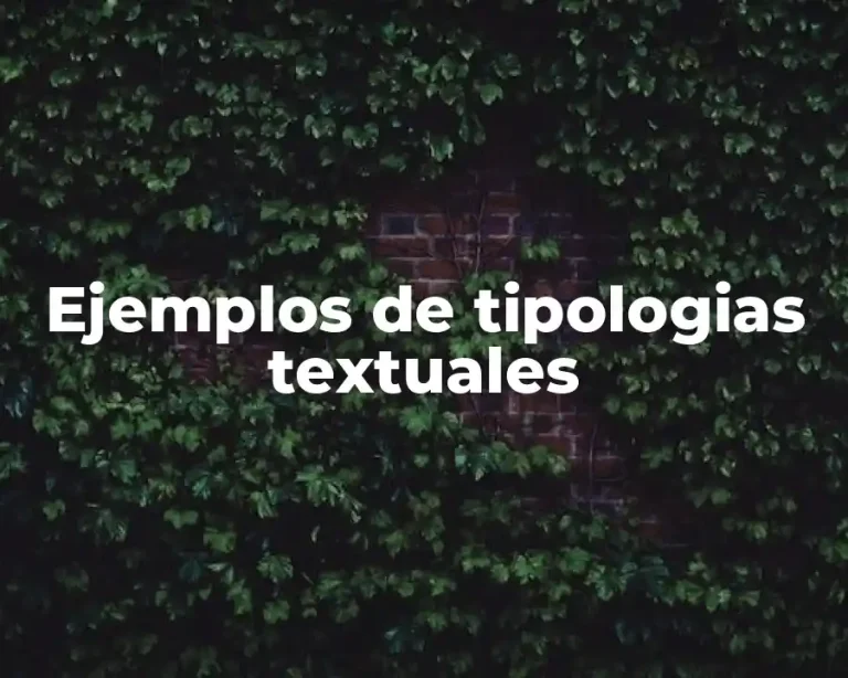 Ejemplos de tipologias textuales