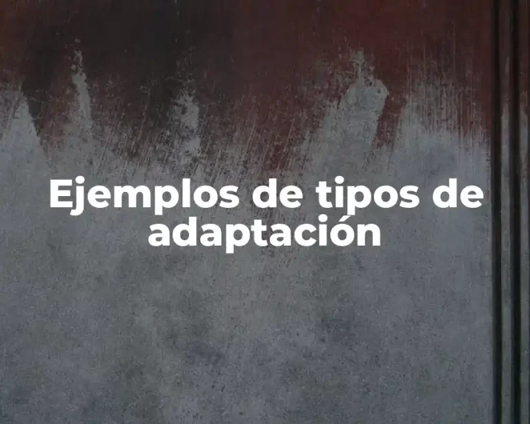 Ejemplos de tipos de adaptación