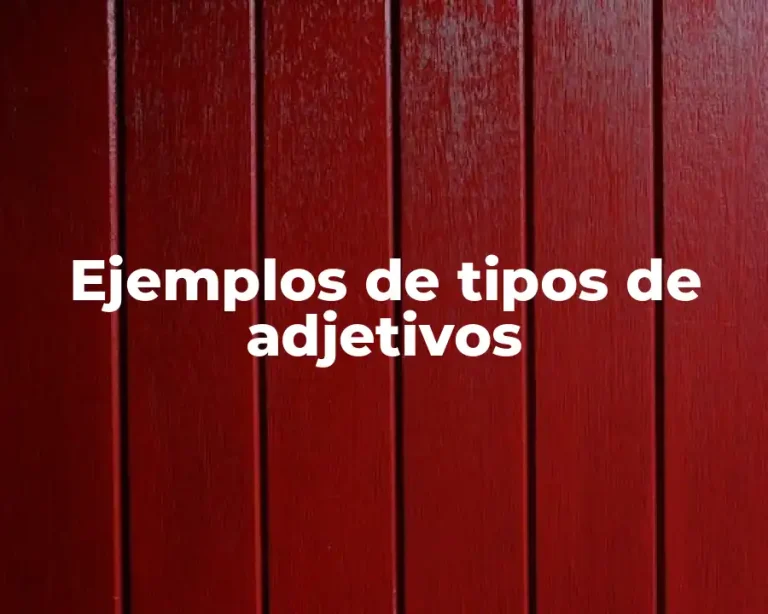 Ejemplos de tipos de adjetivos