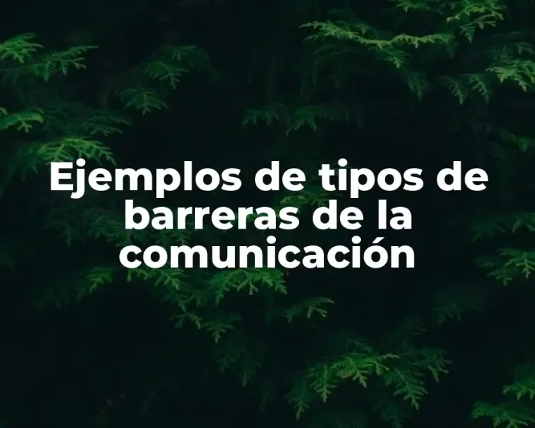 Ejemplos de tipos de barreras de la comunicación