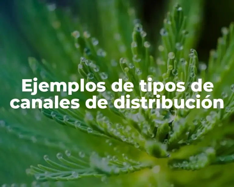 Ejemplos de tipos de canales de distribución