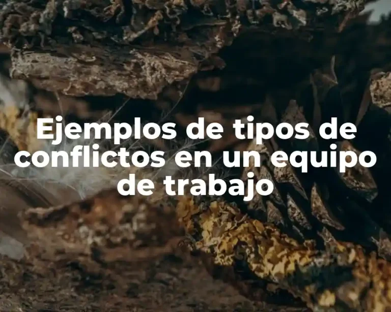 Ejemplos de tipos de conflictos en un equipo de trabajo