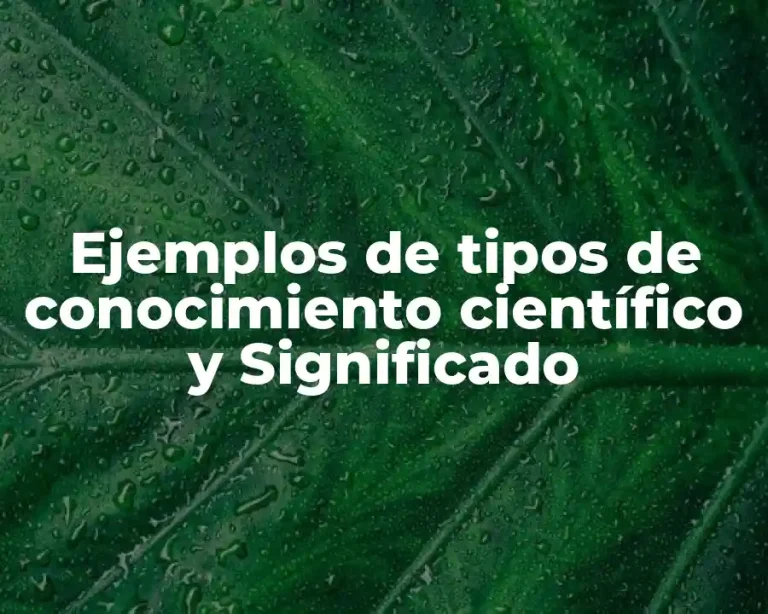 Ejemplos de tipos de conocimiento científico y Significado