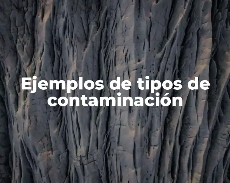 Ejemplos de tipos de contaminación