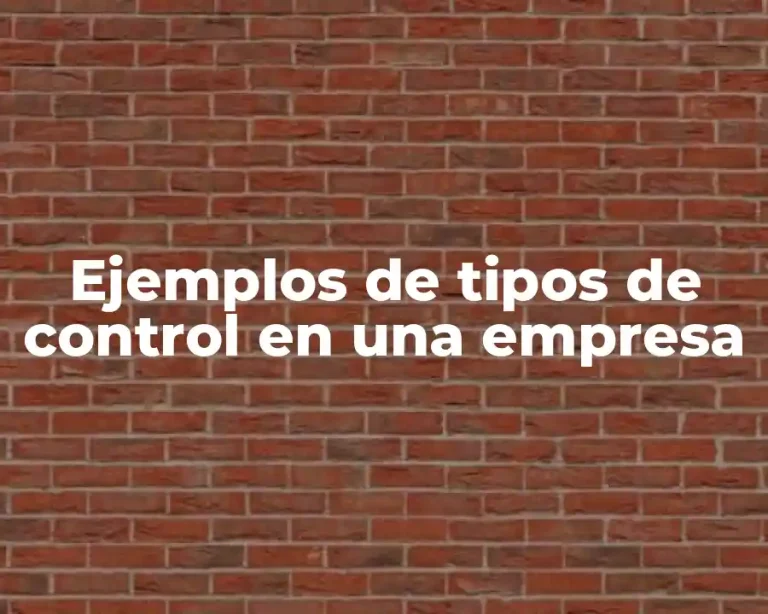 Ejemplos de tipos de control en una empresa
