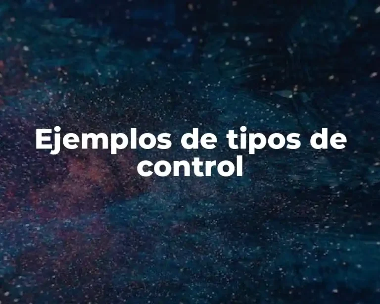 Ejemplos de tipos de control