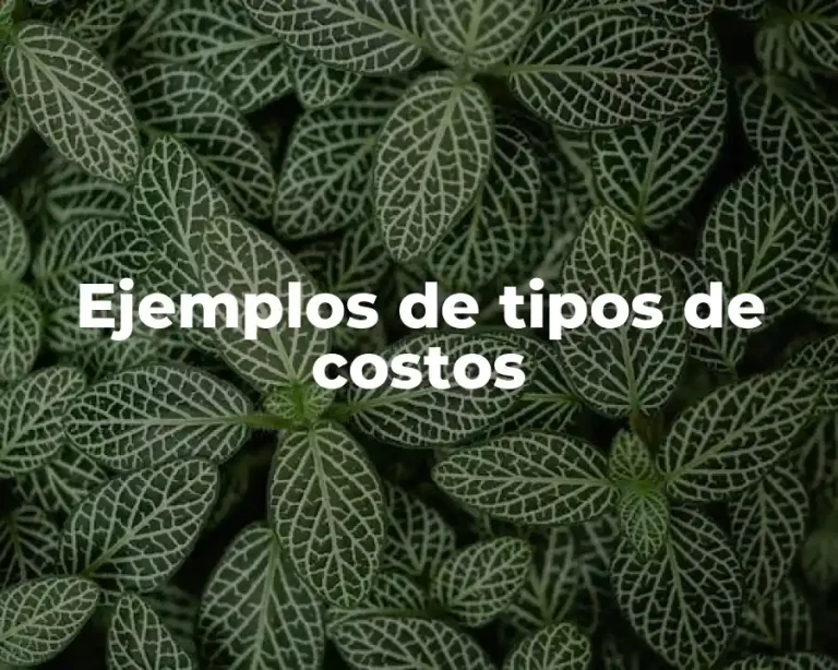 Ejemplos de tipos de costos