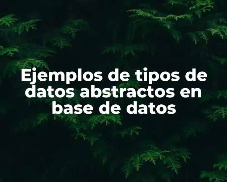 Ejemplos de tipos de datos abstractos en base de datos