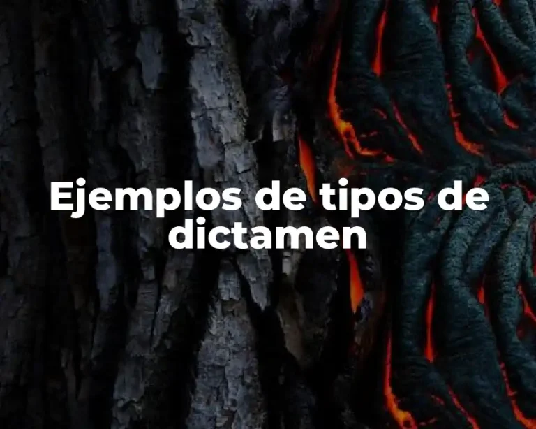 Ejemplos de tipos de dictamen