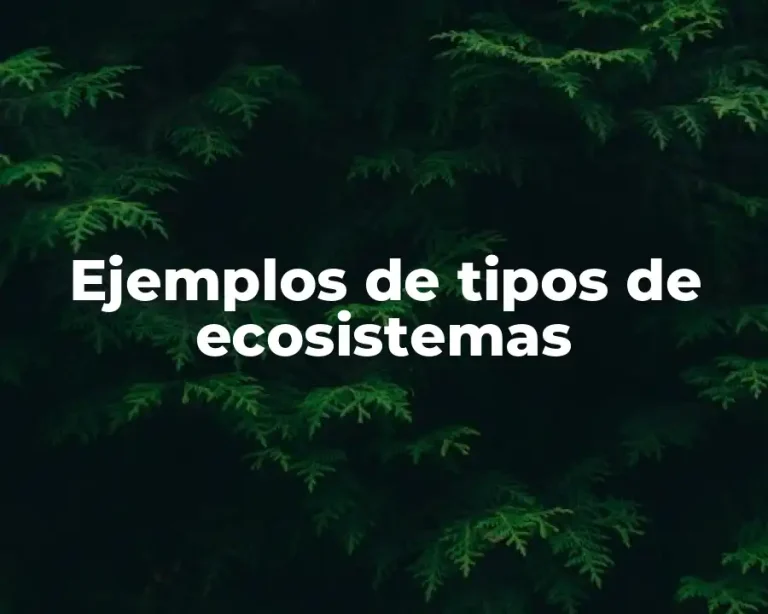 Ejemplos de tipos de ecosistemas