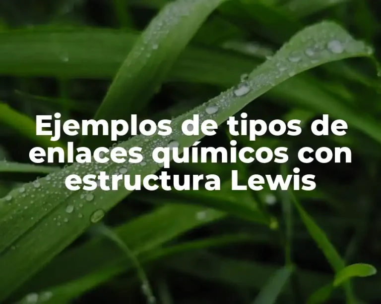 Ejemplos de tipos de enlaces químicos con estructura Lewis