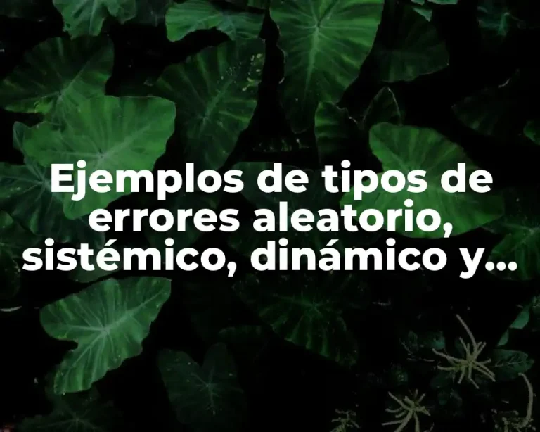 Ejemplos de tipos de errores aleatorio, sistémico, dinámico y escala
