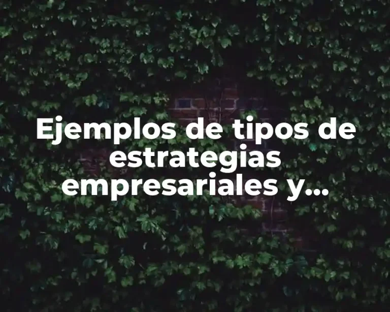 Ejemplos de tipos de estrategias empresariales y Significado