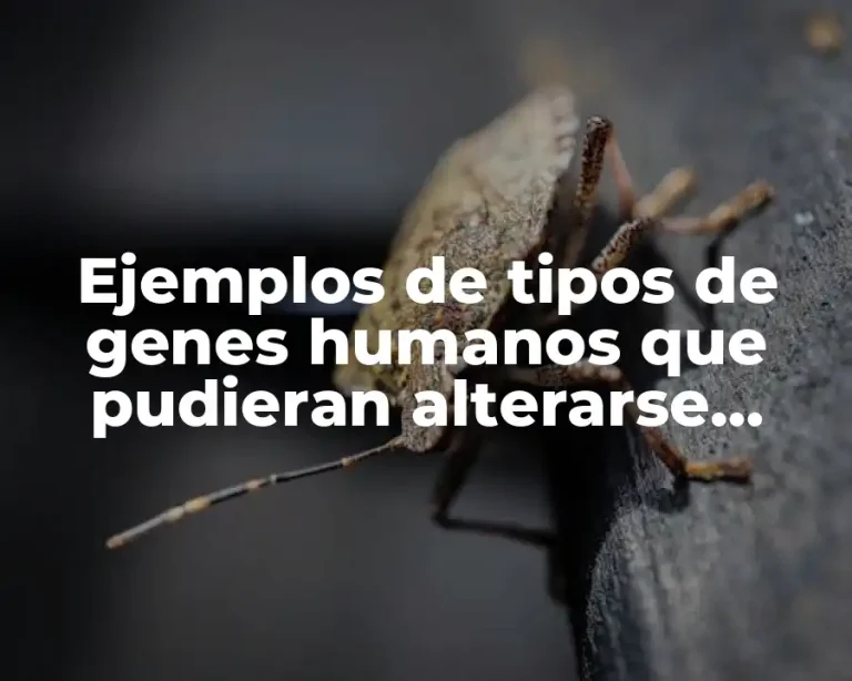 Ejemplos de tipos de genes humanos que pudieran alterarse artificialmente