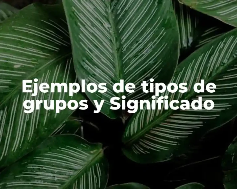 Ejemplos de tipos de grupos y Significado