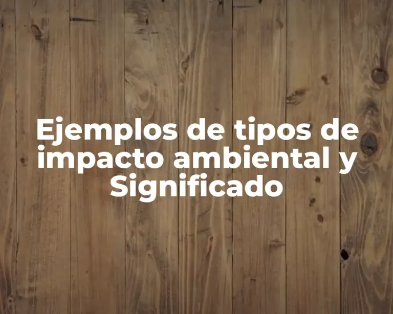 Ejemplos de tipos de impacto ambiental y Significado