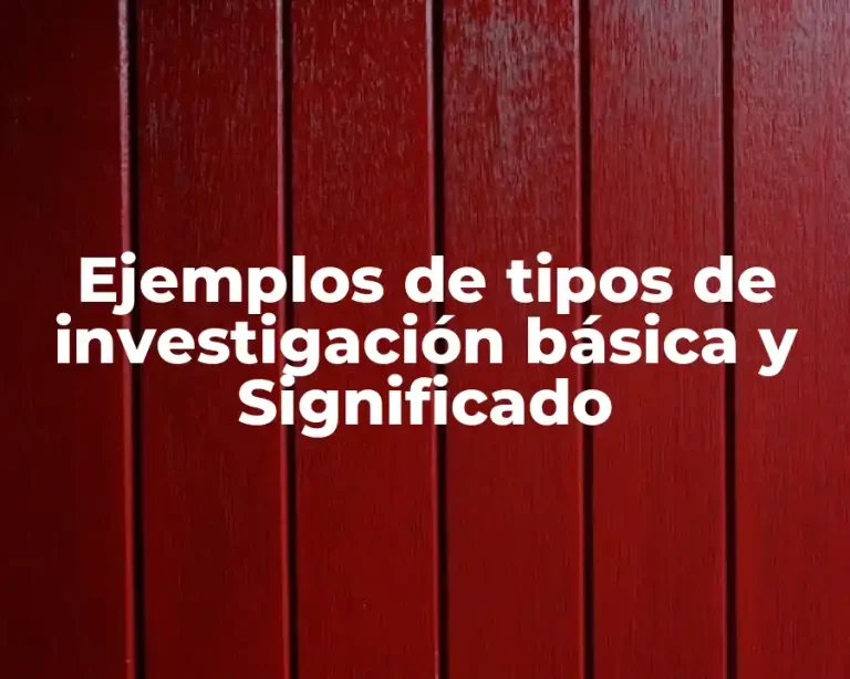 Ejemplos de tipos de investigación básica y Significado