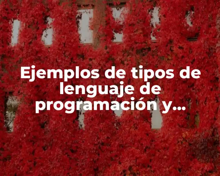 Ejemplos de tipos de lenguaje de programación y Significado