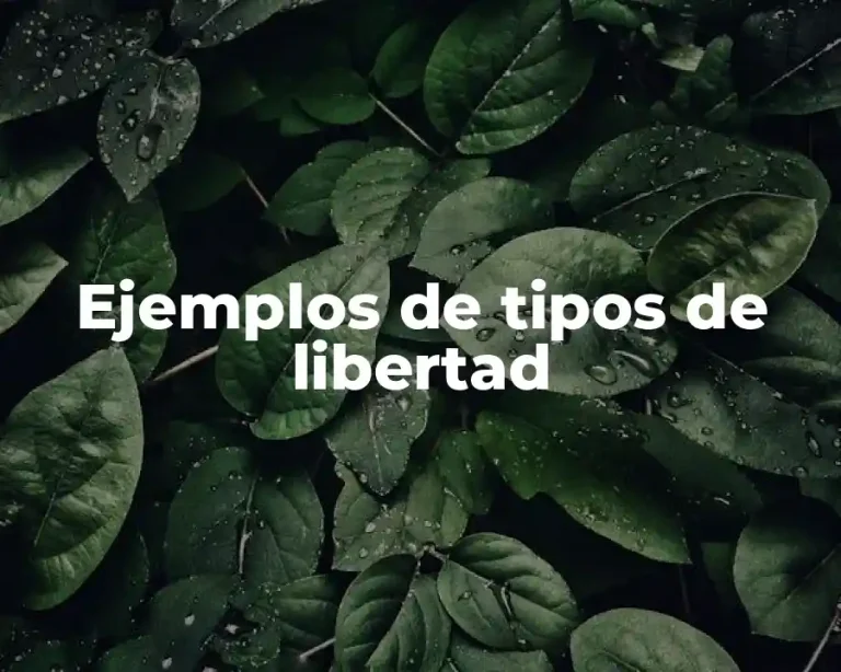 Ejemplos de tipos de libertad