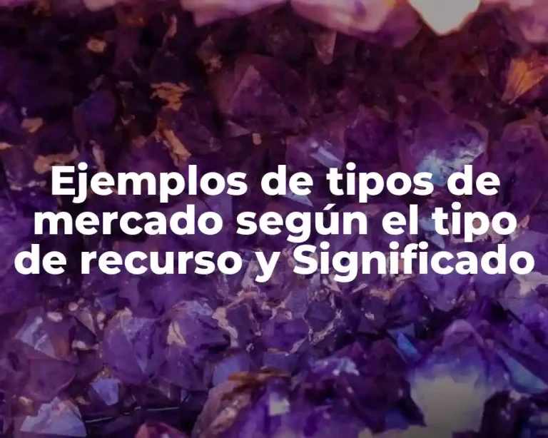 Ejemplos de tipos de mercado según el tipo de recurso y Significado