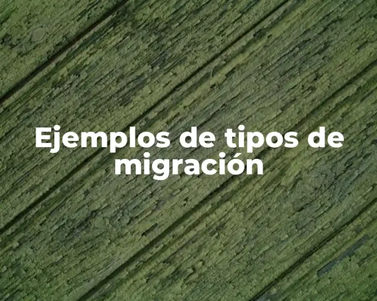 Ejemplos de tipos de migración