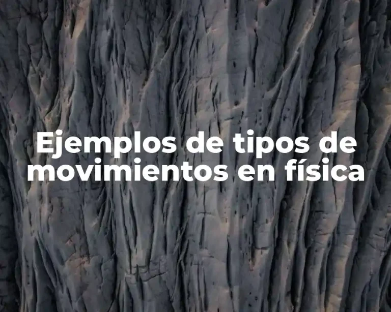 Ejemplos de tipos de movimientos en física