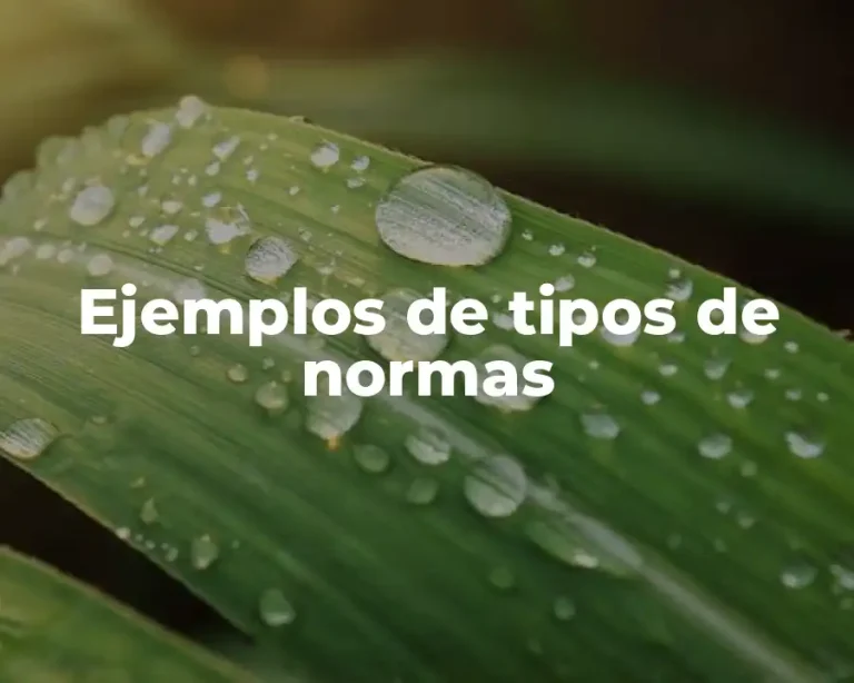 Ejemplos de tipos de normas