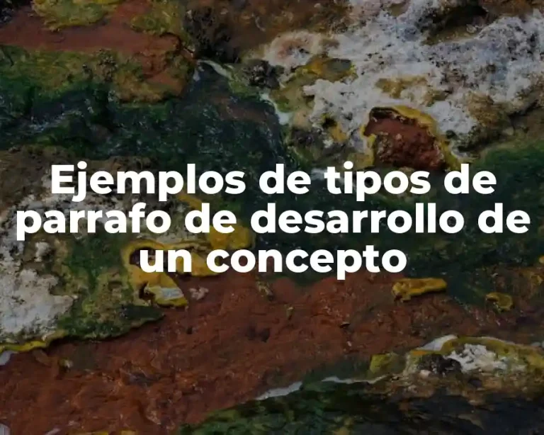 Ejemplos de tipos de parrafo de desarrollo de un concepto