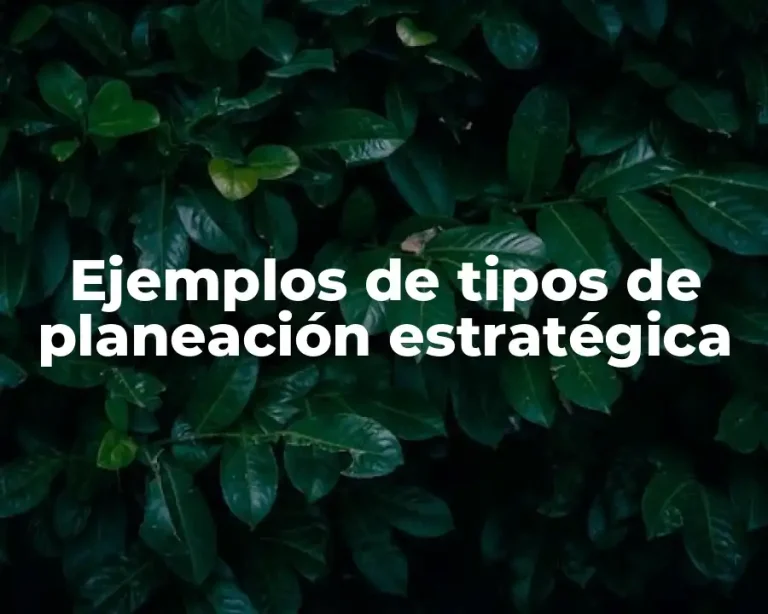 Ejemplos de tipos de planeación estratégica