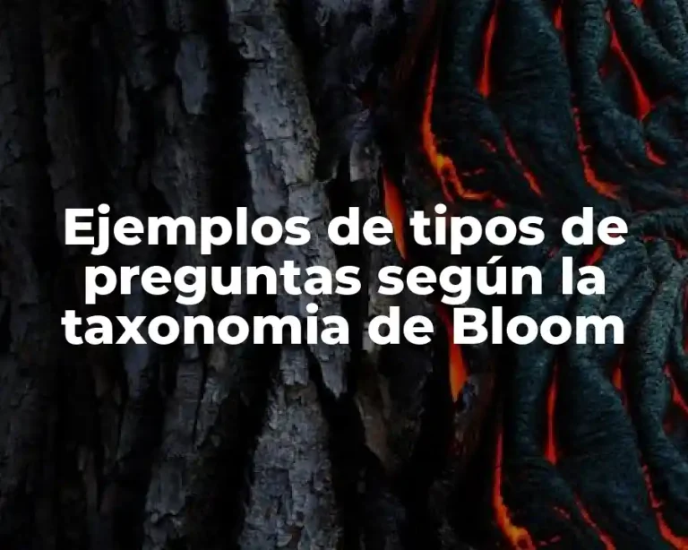 Ejemplos de tipos de preguntas según la taxonomia de Bloom