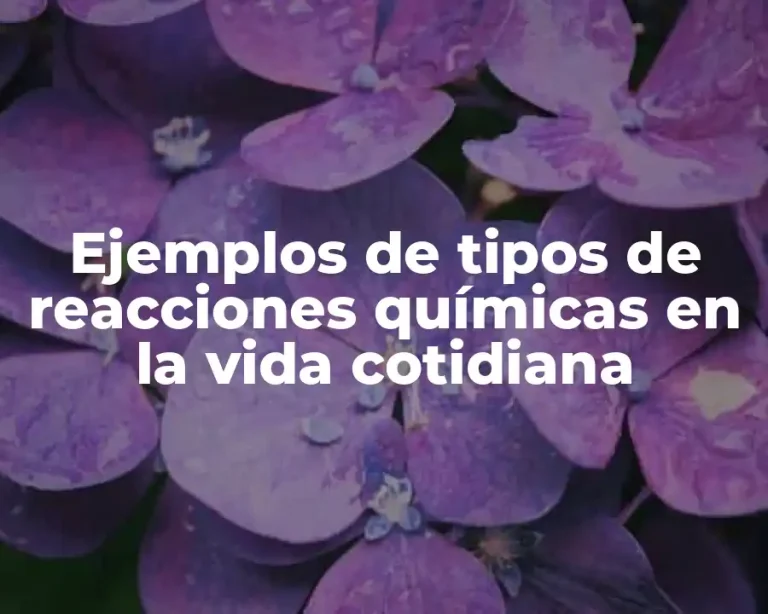 Ejemplos de tipos de reacciones químicas en la vida cotidiana