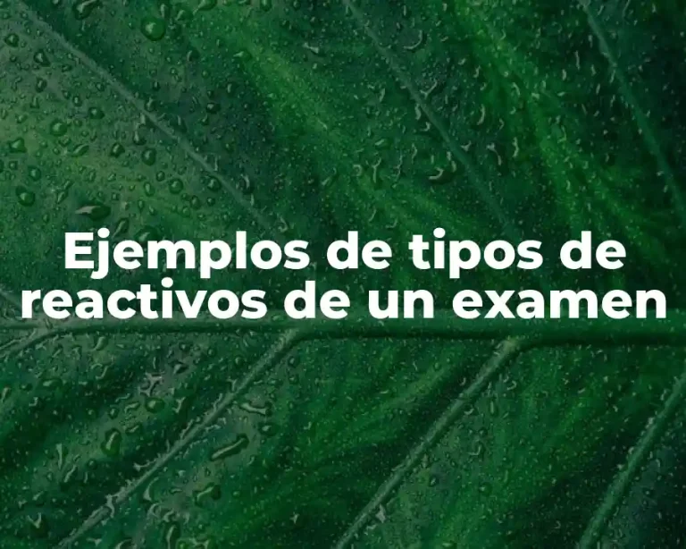 Ejemplos de tipos de reactivos de un examen