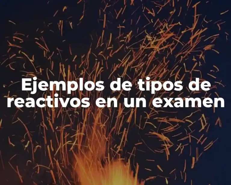 Ejemplos de tipos de reactivos en un examen