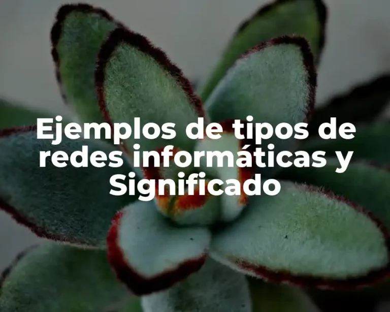 Ejemplos de tipos de redes informáticas y Significado